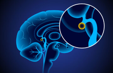 Pineal gland supplements That Improve Lifespan
